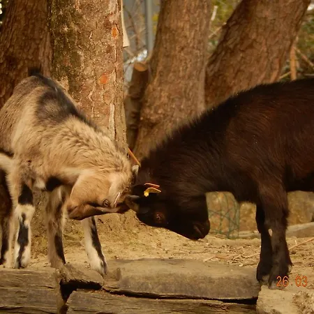 Hotel Eco Logis Espace Bellevue Séméac